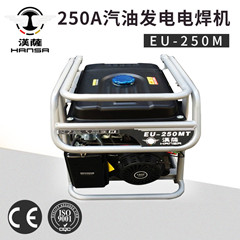 250A汽油氩弧发电电焊一体机_EU-250MT.jpg